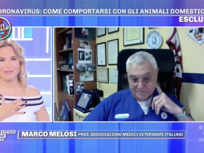 Pomeriggio5, il veterinario chiarisce l'uso della candeggina: "Ok due cucchiaini in un litro di acqua"