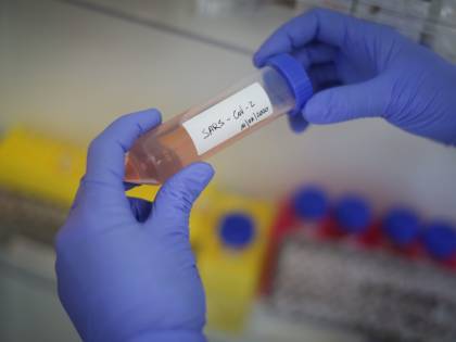 Lo studio choc sugli anticorpi: perché il vaccino può essere inutile