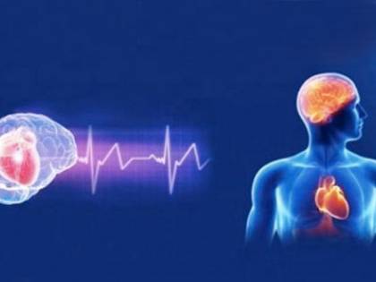 Ecco che cosa accade quando Covid attacca il cuore e il cervello