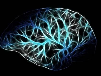 "Chi contrae la leishmaniosi non si ammala di Alzheimer"