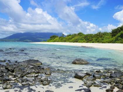 La lotta per sopravvivere sull'isola deserta