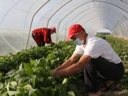 Altro che sanatoria per i migranti: solo il 5% ora è regolare