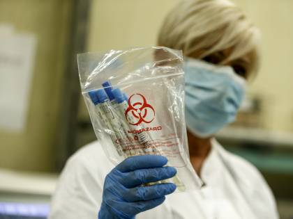 "Basta esperti fasulli: il rischio c'è sempre ma il virus è innocuo"