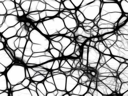 Morbo di Parkinson, scoperta la "coppia molecole" che rallenta la malattia