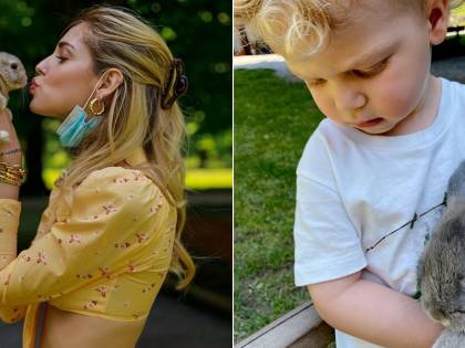 Chiara porta Leone in agriturismo, i vegani insorgono: "Poi vi mangiate quegli animali"