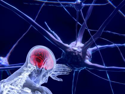 C'è un "pulsante" per ibernare il cervello: ecco cosa dicono gli scienziati