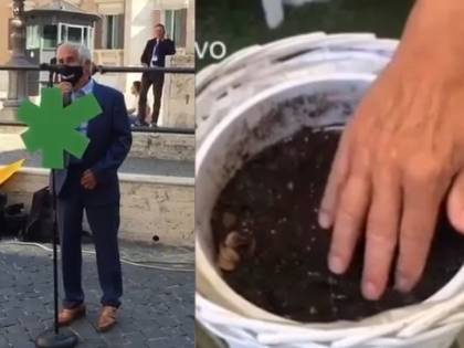 La campagna giallorossa: "Legalizzate la cannabis Noi la coltiviamo a casa"
