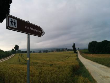 Francigena nel Sud, quella via santa che risale la Storia