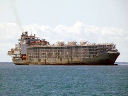 Quando "l'arca di Noè" affonda e sparisce. A bordo c'erano 42 marinai e 5.800 mucche