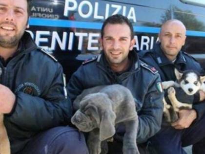 Da randagi ad anti-droga. La seconda vita dei cani della polizia penitenziaria