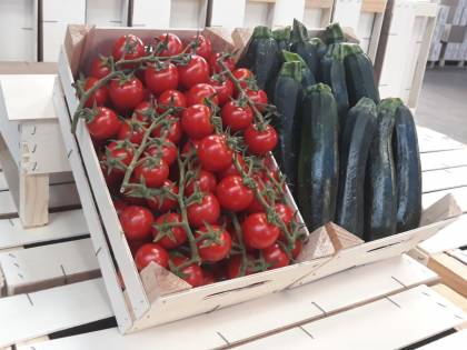 Cassette in legno di pioppo per l'ortofrutta, accordo tra Federlegno e FederBio