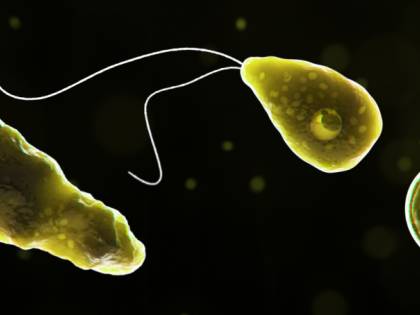 Allarme in Texas: "Non usate l'acqua. C'è l'ameba mangia-cervello"
