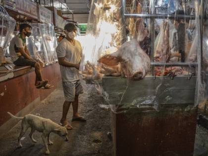 I mercati bagnati non chiudono. Cosa succede davvero in Cina