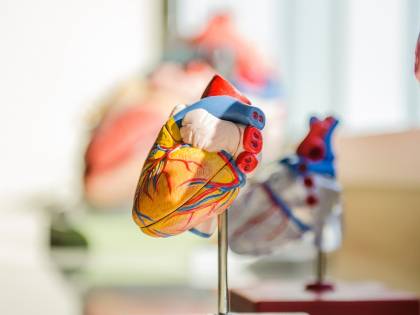 Bristol Myers Squibb, con MyoKardia franchise cardiovascolare più forte