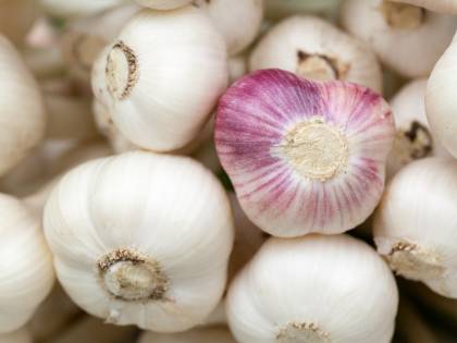 Aglio, benefici e controindicazioni del superfood dall'odore pungente