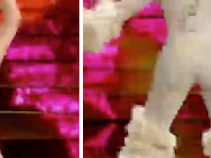 Dopo il caso Detto Fatto, in Rai ora tagliano anche il twerk