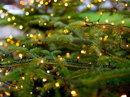 Dalle luci di Natale alle pentole Così si abbatte la super bolletta