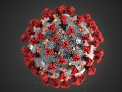 Il virus era già in Italia a novembre del 2019? La scoperta sul bimbo