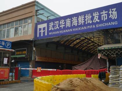 Wuhan, dove tutto ebbe inizio: cosa è "successo" nel mercato