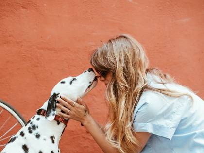 La "realtà aumentata" ci fa capire di più i cani