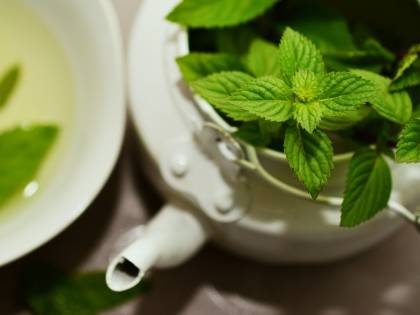 Menta, tutte le proprietà e i benefici di questa pianta