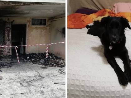 Tragedia a Capodanno, villino inghiottito dalle fiamme: "È stato un petardo"