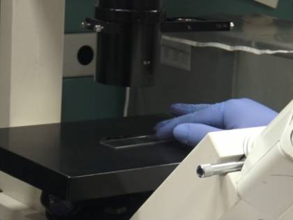 Il farmaco italiano anti-Covid "Così può annientare il virus"