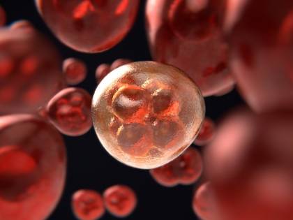 Aneuploidia, scoperto un possibile bersaglio contro il cancro
