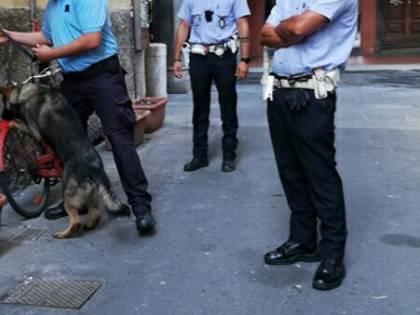 "Caccia all'uomo con i cani contro clochard e parcheggiatori abusivi". "No, solo lotta alla criminalità"