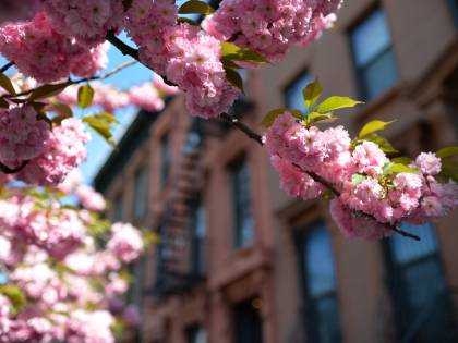 New York, i libri più belli che raccontano la Grande Mela