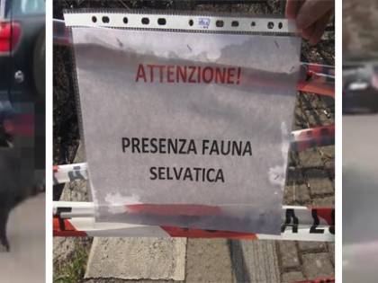 "Pure un ragazzino aggredito, ma vogliono vietare la caccia"
