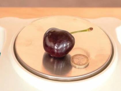 La ciliegia dei record pesa 26 grammi: "Nata a Ferrara dopo anni di ricerca"