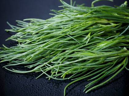 Barba di frate, gli agretti in cucina: proprietà e impieghi più comuni