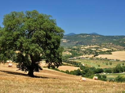 Fuga dalla città, sogno o incubo?