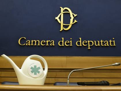 "Pronta la proposta per legalizzare la cannabis". Ora il governo rischia grosso