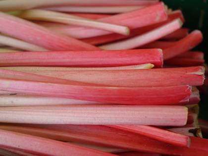Il rabarbaro, 5 impieghi tra salute e cucina
