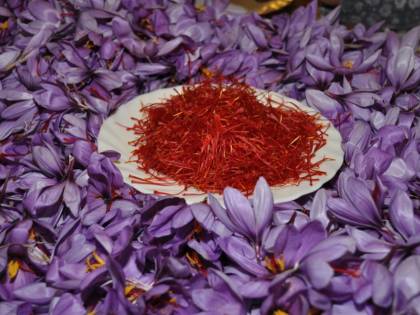Muore avvelenato per una pasta: attenzione al fiore che "inganna"