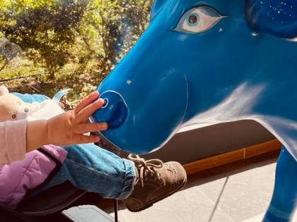 La lettera del sindaco che commuove tutti: "Aiutatemi, mia figlia è malata"