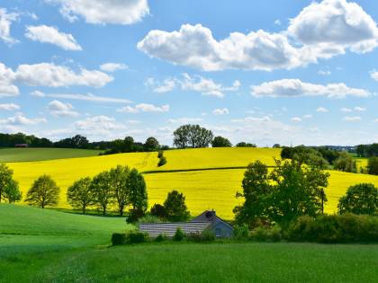 I "conservatori verdi" tra campagna e agricoltura