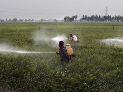 Non solo Covid. Ecco l'altra piaga dell'India