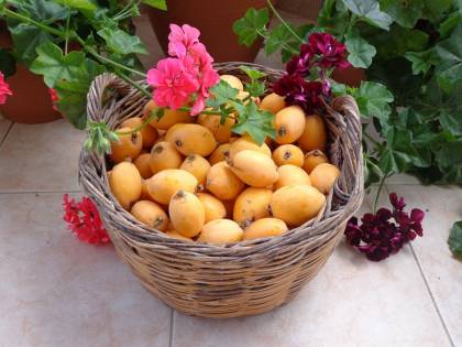 Nespole, il frutto primaverile alleato di bellezza