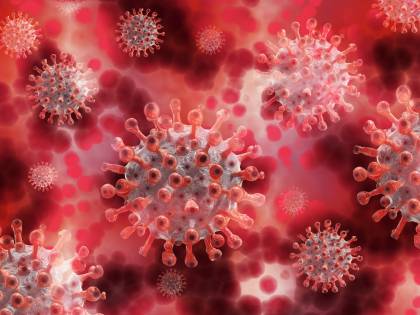 La scoperta: anticorpi attivi 8 mesi dopo l'infezione