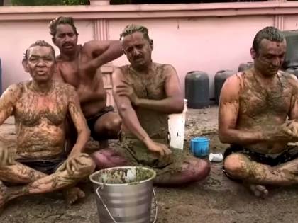 "Sterco di mucca contro il Covid" Allarme pseudo-terapie in India
