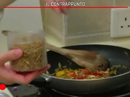"L'Europa ci offre biscotti di vermi": scoppia la bufera in Rai
