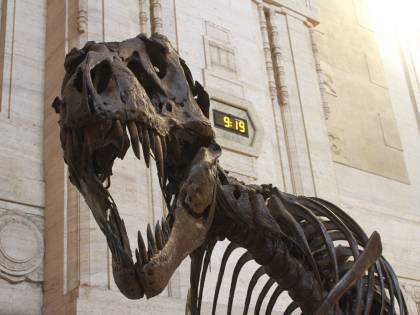 Scoperta choc: cadavere nel dinosauro di cartone