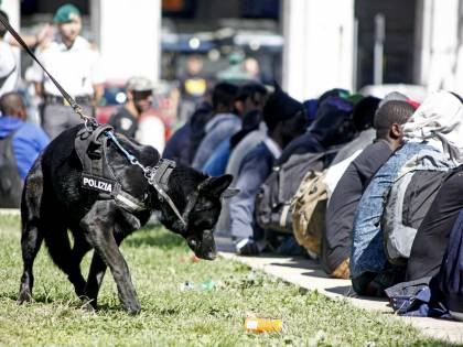 "C'è qualche pecora?". Così i migranti definivano le donne italiane da sposare