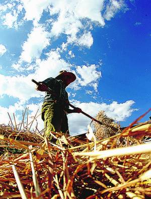 Voglia di agricoltura Sempre più giovani chiedono come fare