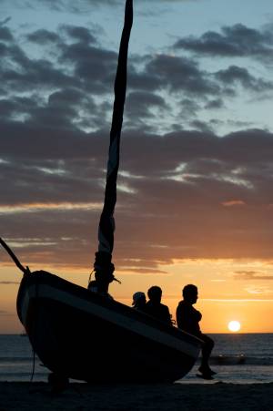 La migrazione dei Guarà 
sul delta di Paraiba