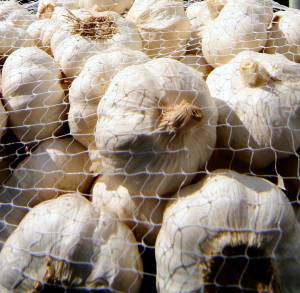 La febbre dell’aglio contagia la Cina