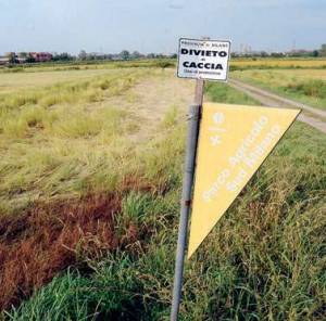 Milano con più parchi e meno cemento: 
dopo trent’anni avrà il piano regolatore